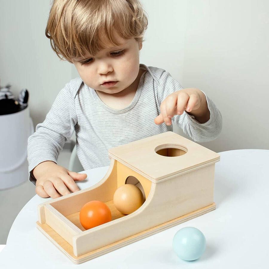 Lias Toys Object Permanence Box Montessori Speelgoed voor 1-jarigen Baby Speelgoed 12 Maanden Montessori Speelgoed Baby Speelgoed