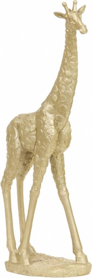 Light & Living Light&living Ornament 22x12x46 5 cm GIRAFFE licht goud