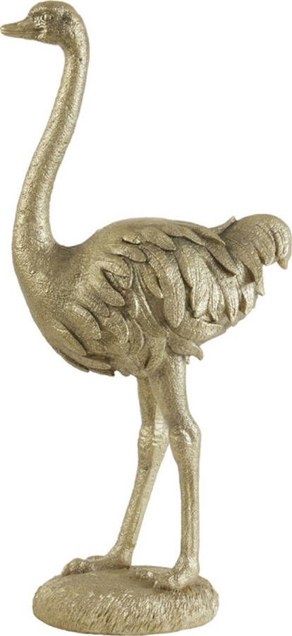 Light & Living Light&living Ornament 31x18 5x66 cm OSTRICH licht goud