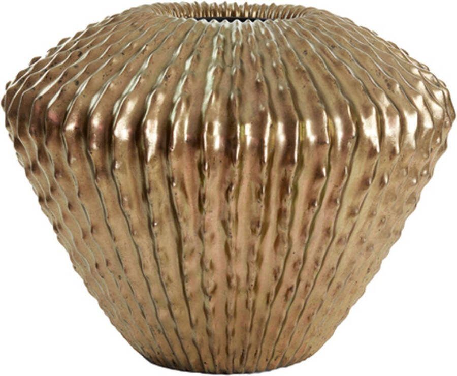 Light & Living Vaas Cacti Ø66x53cm Goud