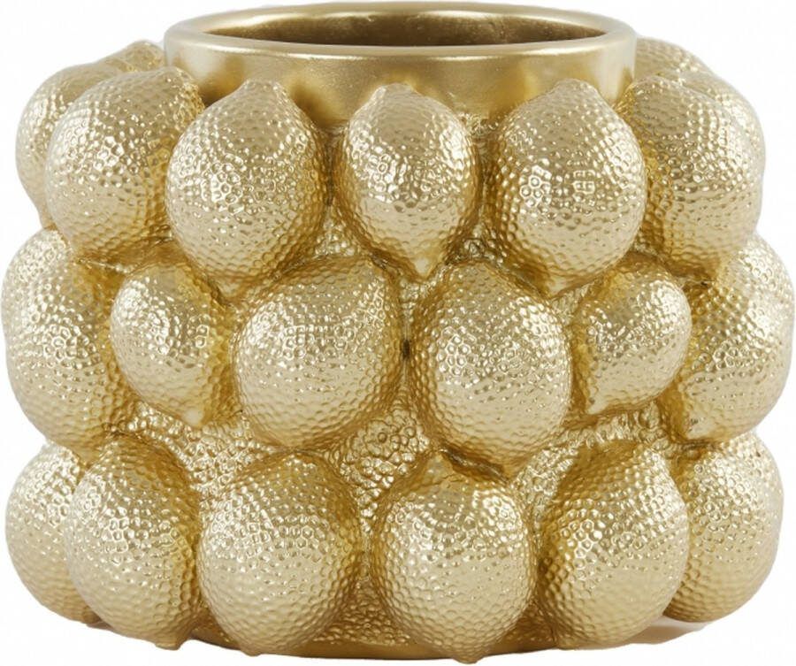 Light & Living Vaas Citroen Polyresin Goud 25 x 18 x 25 cm (BxHxD)
