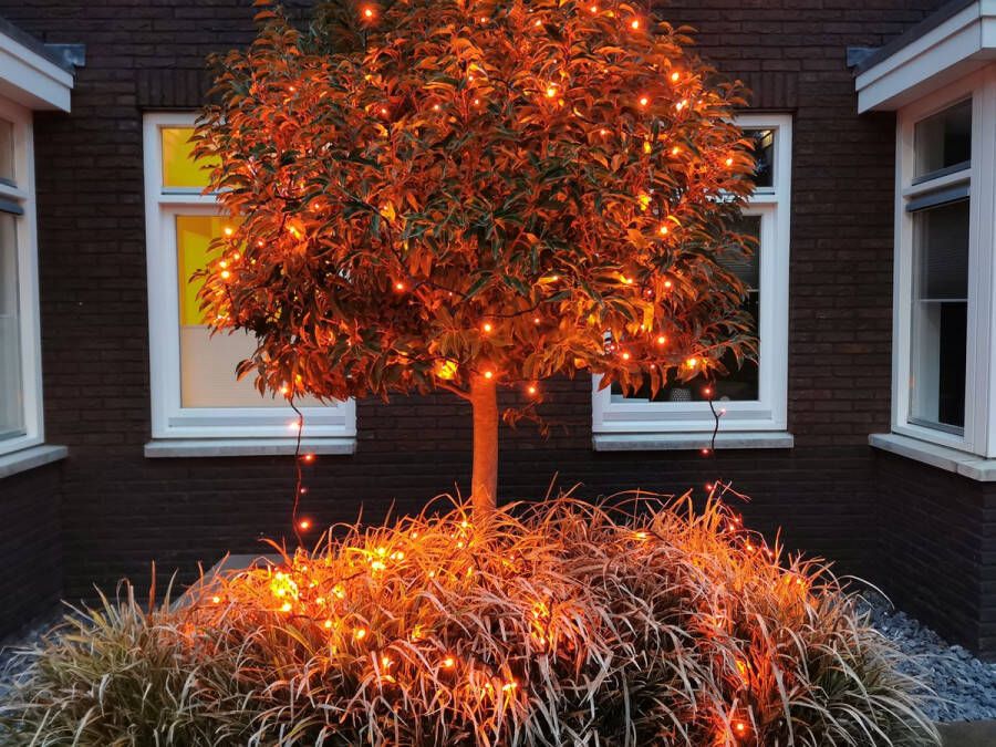 Lili 41 Koningsdag Oranje lichtsnoer -voor binnen en buiten 200 oranje leds 20 meter 8 progamma s & afstandsbediening doorkoppelbaar IP44 voor binnen en buiten tafel vaas deur bomen feest tent heg versiering