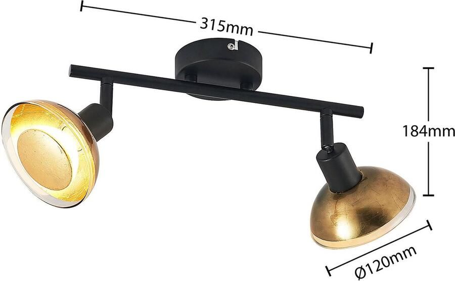 Lindby buitenspot 2lichts Ijzer glas H: 18.4 cm GU10 matzwart bladgoud Inclusief lichtbronnen