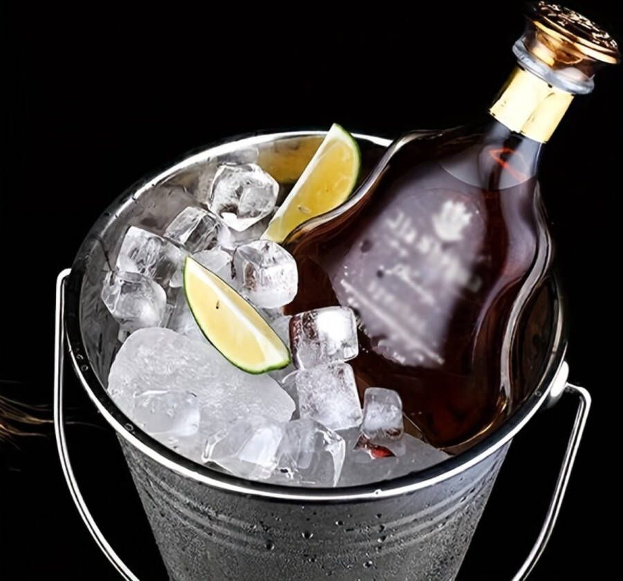 Livano Champagne Emmer Champagnekoeler Champagneschaal Drankemmer Champagne Bowl Drankkoeler 2 Liter