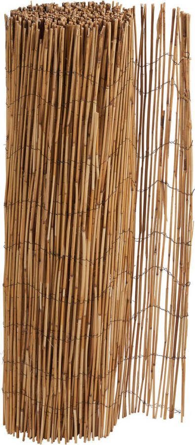 Livarno home Riet Privacyscherm 600x100cm Natuurlijk riet Bescherming tegen de wind Kan individueel worden ingekort