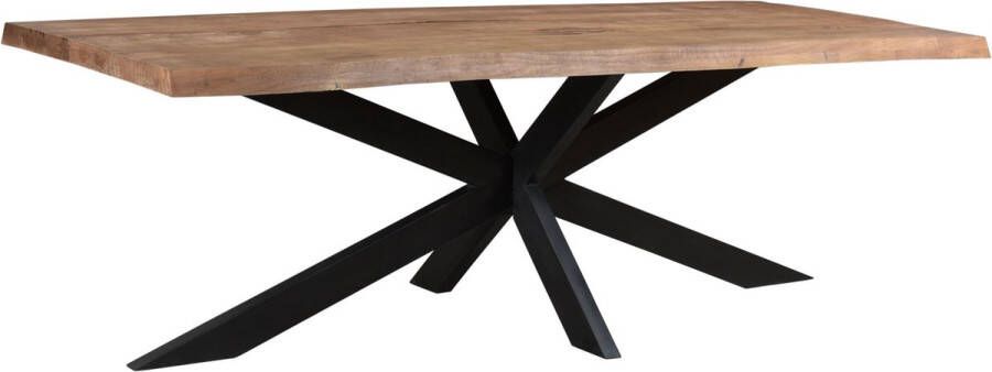 Brix Eetkamertafel | Sturdy Tree Top Spider | 100x200 cm | mangohout met staal