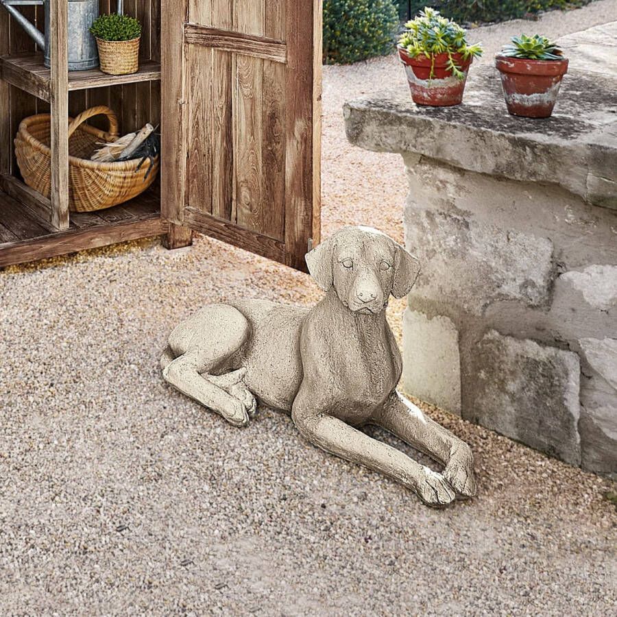 Loberon Hond Socrate antiekbeige