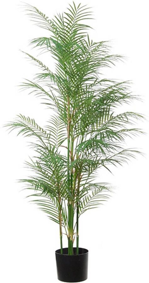 Louis Maes ArecaA Palm kunstplant 145cm kunststof Goudpalm Kunstplanten
