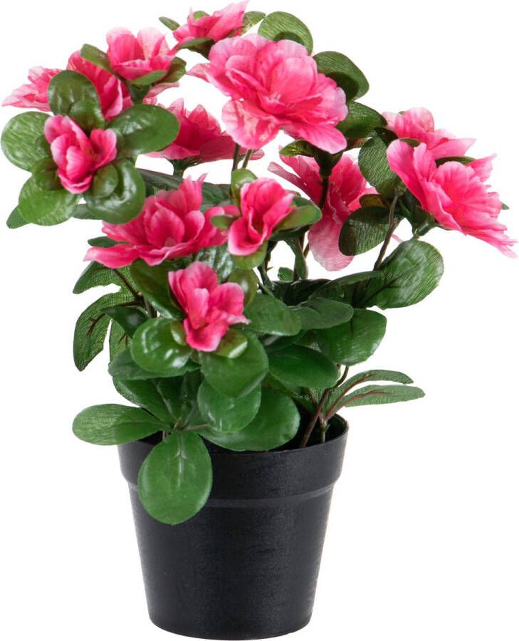Louis Maes Azalea Kunstbloemen in pot rood roze H25 cm