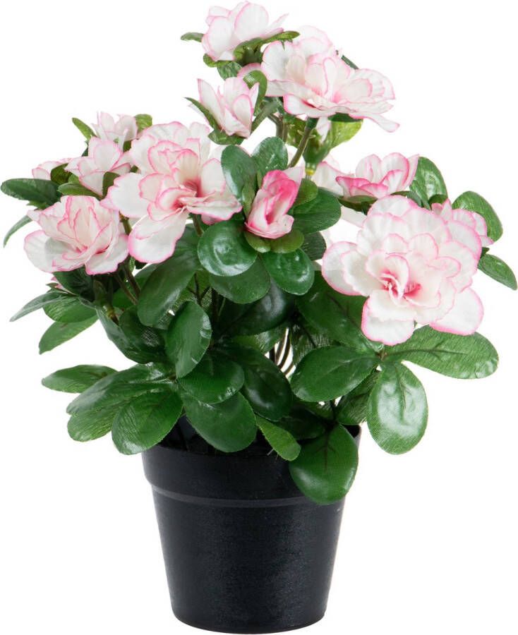 Louis Maes Azalea Kunstbloemen in pot wit roze H25 cm