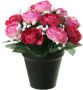 Louis Maes Kunstbloemen plant in pot roze wit tinten 20 cm Bloemenstuk ornament Kunstbloemen - Thumbnail 1