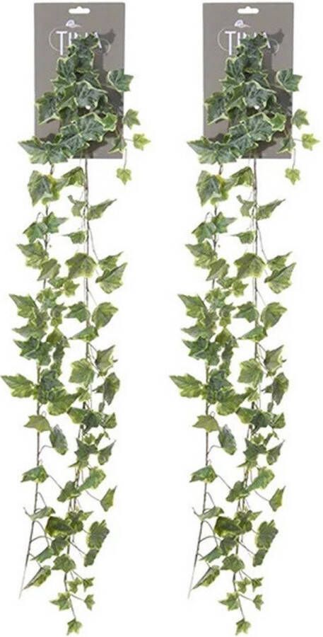 Louis Maes kunstplant blaadjes slinger Klimop hedera 2x groen wit 180 cm Kunstplanten