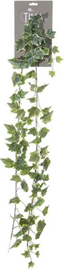 Louis Maes kunstplant blaadjes slinger Klimop hedera groen wit 180 cm Kunstplanten