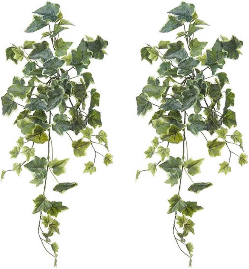 Louis Maes kunstplant met blaadjes hangplant Klimop hedera 2x groen wit 58 cm Kunstplanten