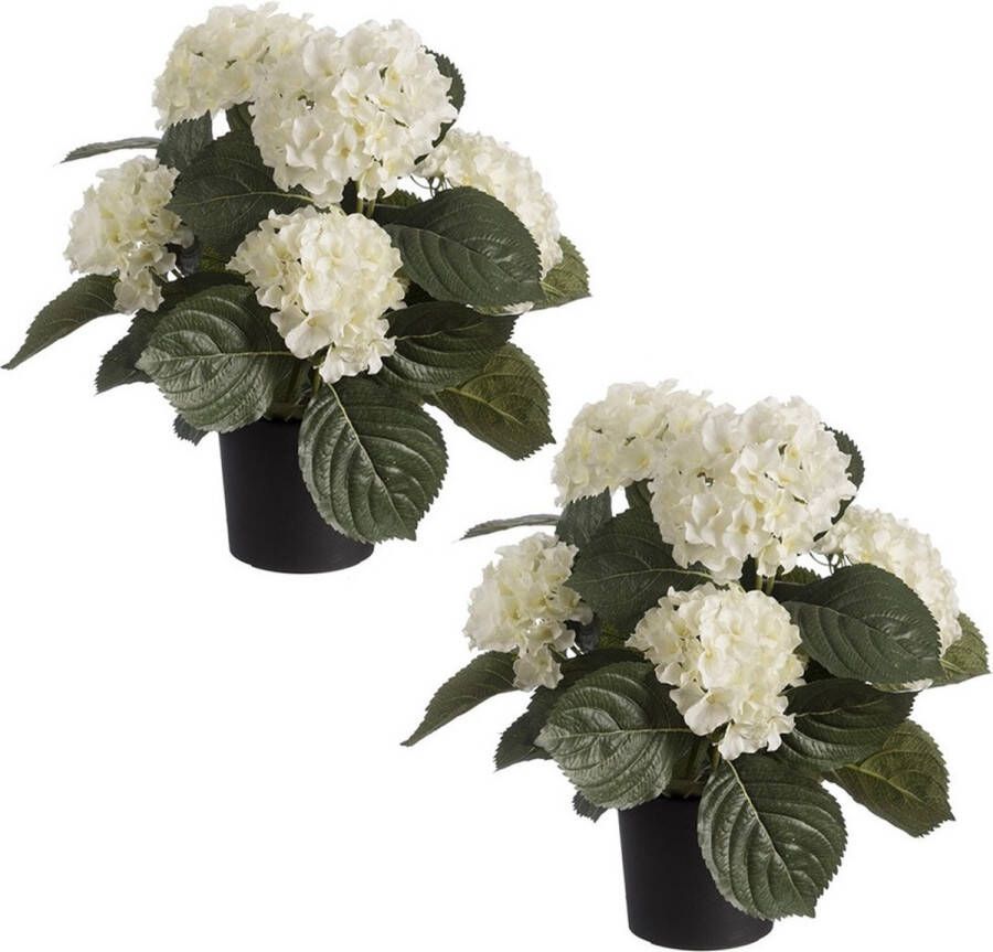 Merkloos Sans marque Set van 2x stuks witte hortensia kunstplanten in zwarte kunststof pot 44 cm Hydrangea Woondecoratie