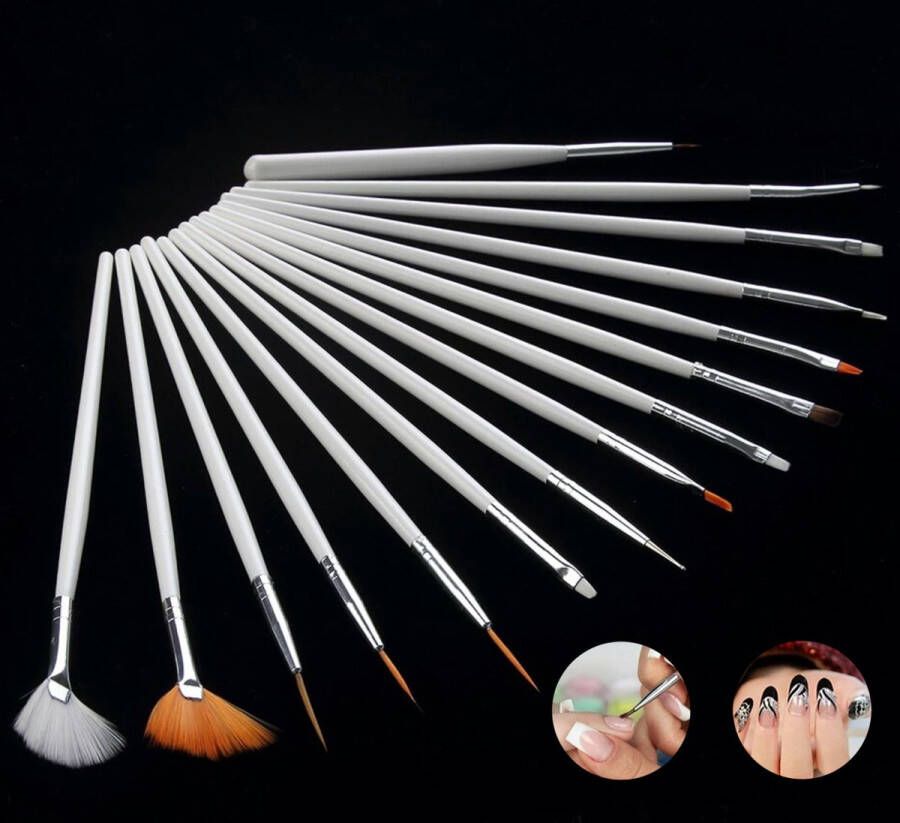 LOUZIR 15 Delig Nailart Penseel Set Nagel Art Pennen Nail art tools- Nagel Kwast