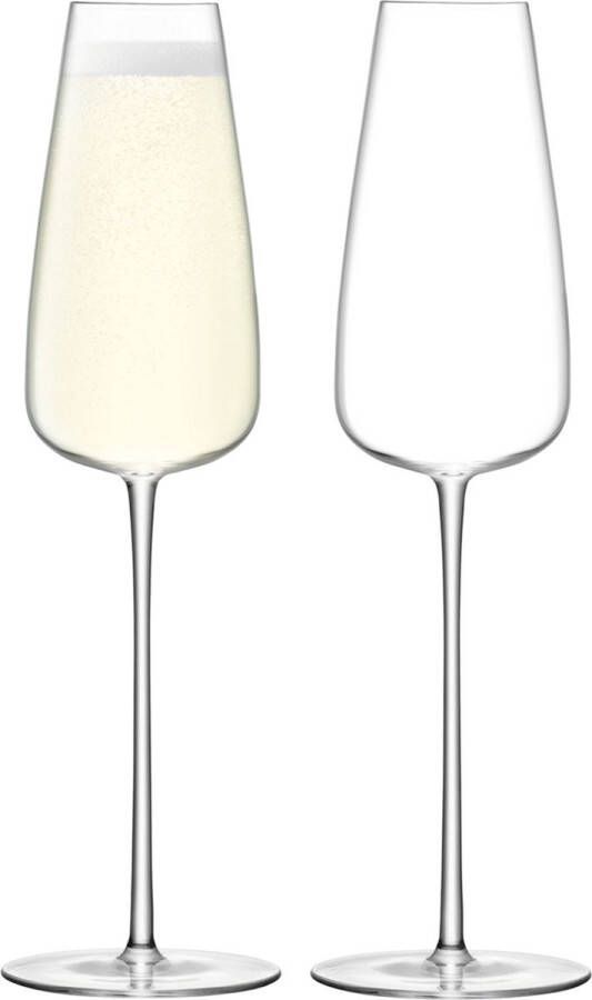 LSA L.S.A. Wine Culture Champagne Flute 330 ml Set van 2 Stuks Glas Transparant