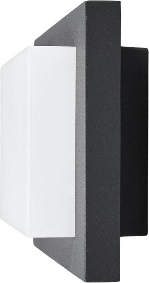 Lucande LED wandlamp buiten 1licht aluminium polycarbonaat H: 14 cm grafietgrijs opaalwit Inclusief lichtbron