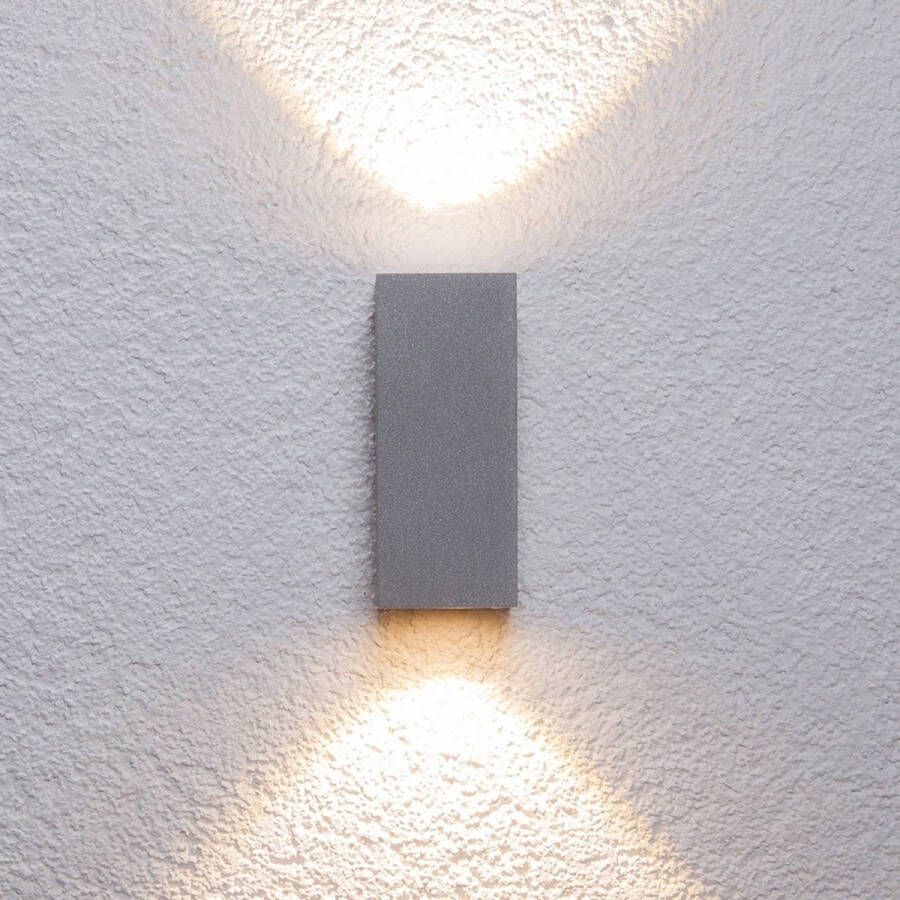 Lucande LED wandlamp buiten 2 lichts aluminium H: 14.5 cm zilver Inclusief lichtbronnen