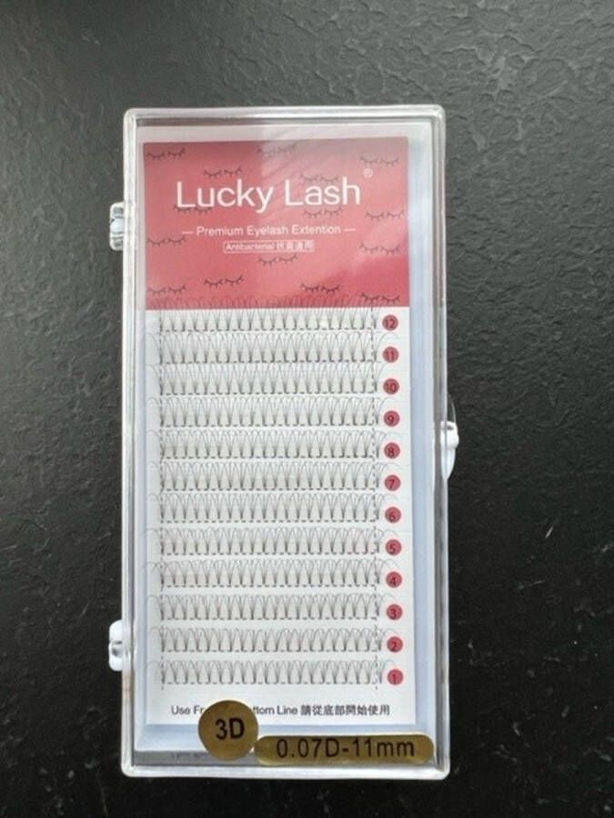 Lucky Lashes Nepwimpers 3D 11mm 0.07 D krul Pre-Made Volume Fans – Russian volume – Pre-Made Fans- wimperextensions – wimper extensions