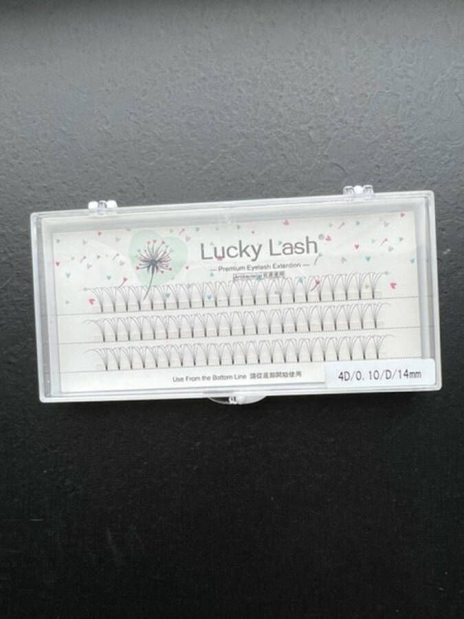 Lucky Lashes Nepwimpers 4D 13mm 0.07 D krul 66 stuks Pre-Made Volume Fans – Russian volume – Pre-Made Fans- wimperextensions – wimper extensions