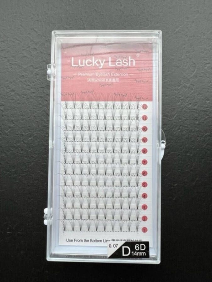 Lucky Lashes Nepwimpers 6D 13mm 0.07 D krul Pre-Made Volume Fans – Russian volume – Pre-Made Fans- wimperextensions – wimper extensions
