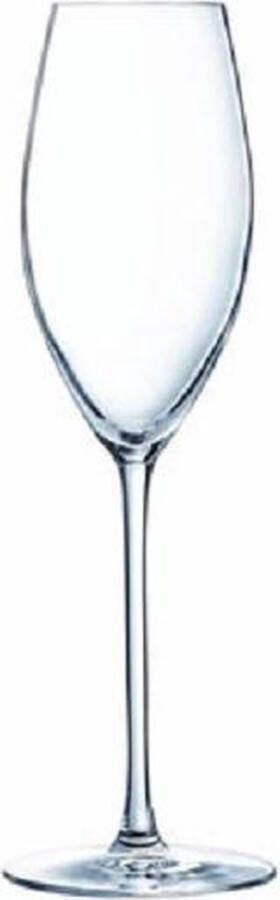 Luminarc Grand Chais Champagne Glazen 24cl (set van 6) En Yourkitchen E-kookboek Heerlijke Smulrecepten