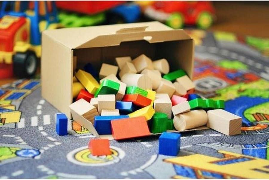 Lupo Houten gekleurde blokken 100 bouwblokken duurzaam eco toy