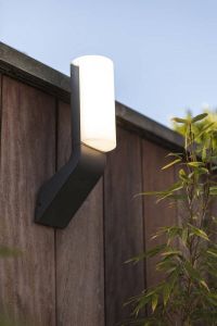 LUTEC Bati Stijlvolle LED Wandlamp voor Buiten Donkergrijs
