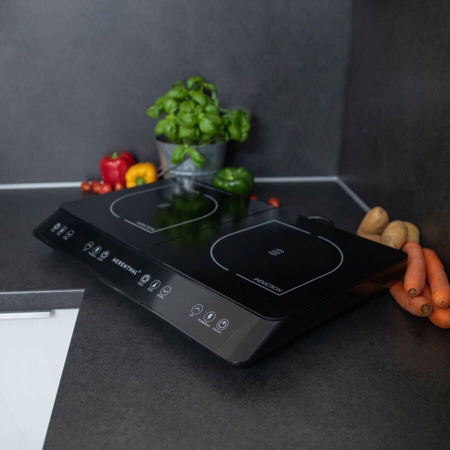 Luxe Swiss inductiekookplaat Elektrische Kookplaat 1400W+2000W Modern Zwart