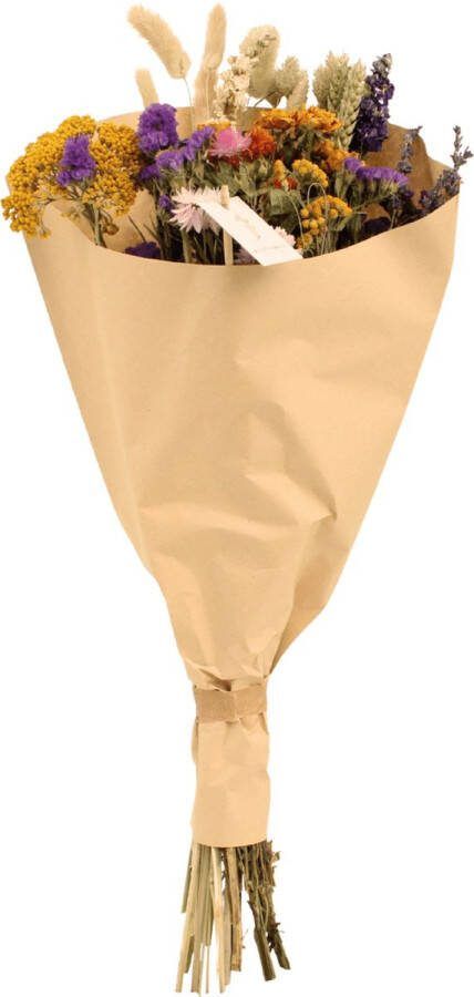 MaatShopXL Droogbloemen Field Bouquet Multi