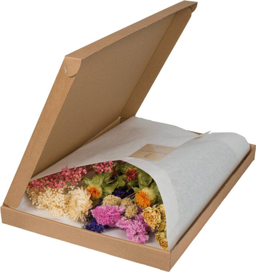MaatShopXL Droogbloemen In Letterbox Multi