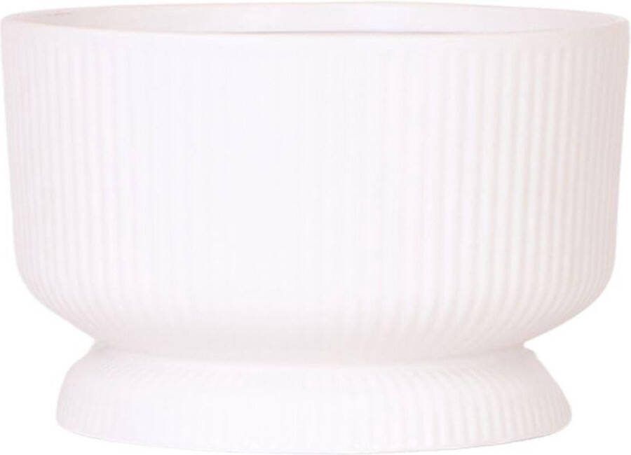 MaatShopXL Kolibri Home Diabolo White Dish