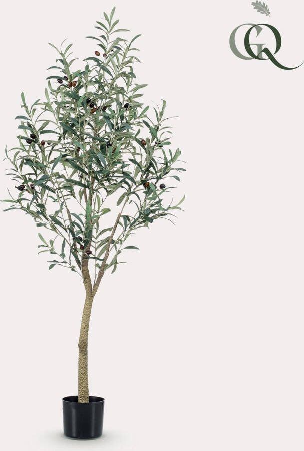 MaatShopXL Kunst Olijfboom Olea Europaea Olijfboom