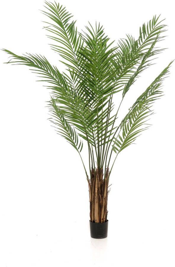 MaatShopXL Kunstplant Areca Lutescens Goudpalm 180 Cm