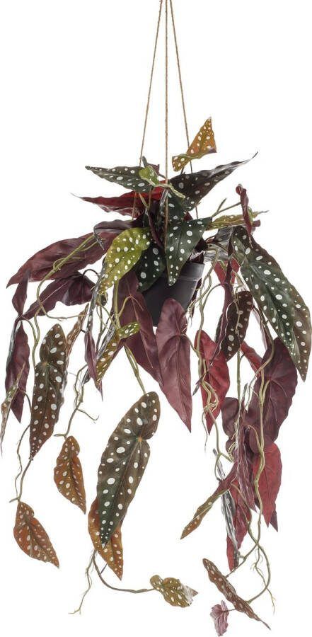 MaatShopXL Kunstplant Begonia Maculata Stippenbegonia 80 Cm