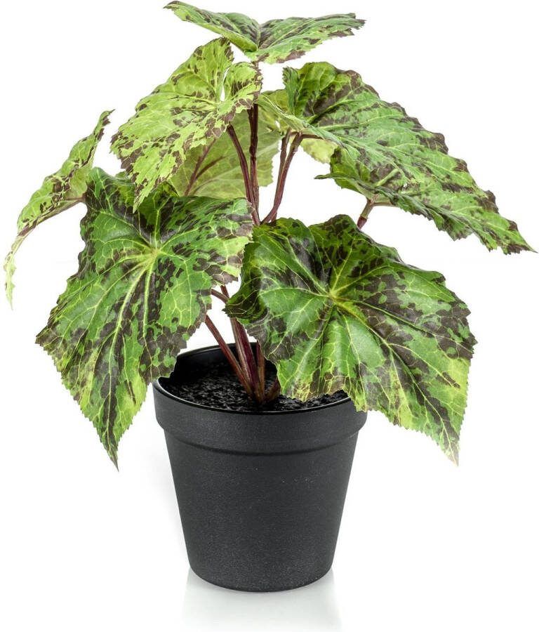 MaatShopXL Kunstplant Begonia Rex Bladbegonia 25 Cm