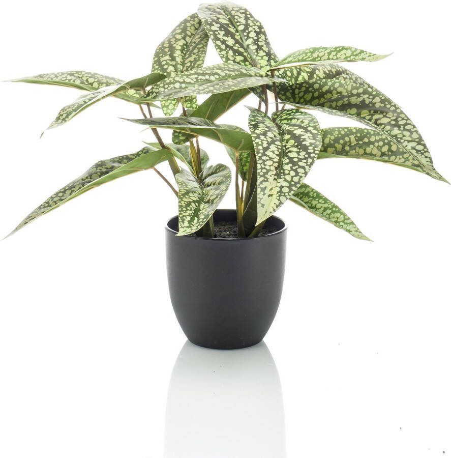 MaatShopXL Kunstplant Calathea Dots Schaduwplant 38 Cm