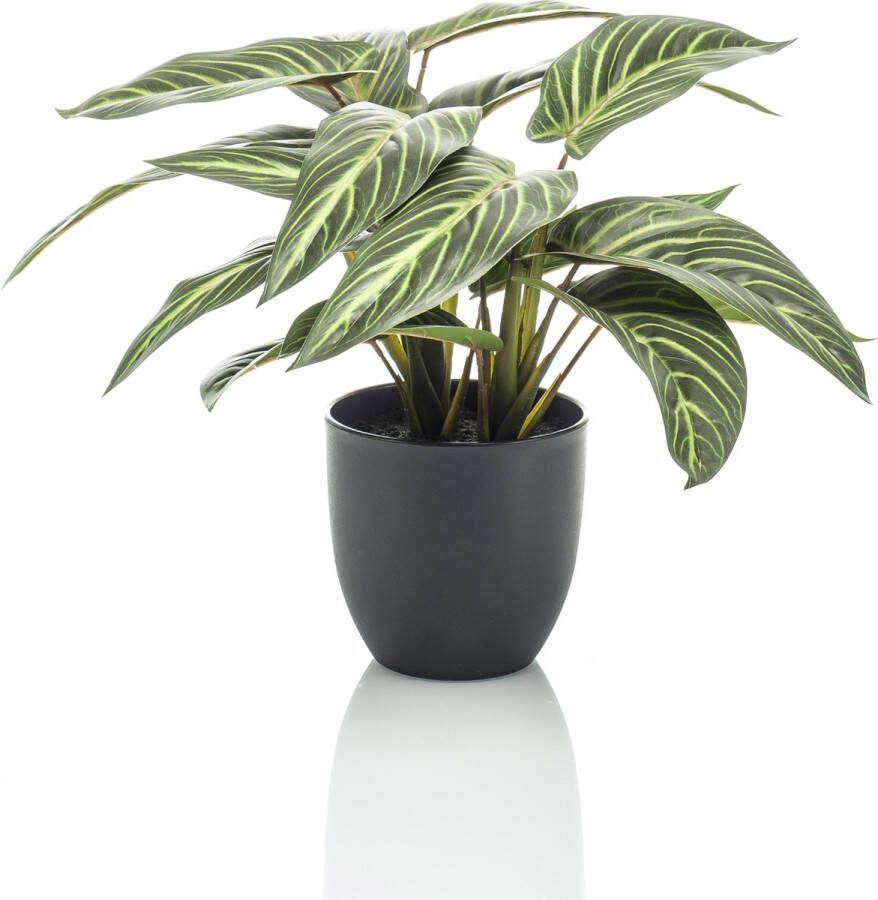 MaatShopXL Kunstplant Calathea Zebrina Schaduwplant 38 Cm