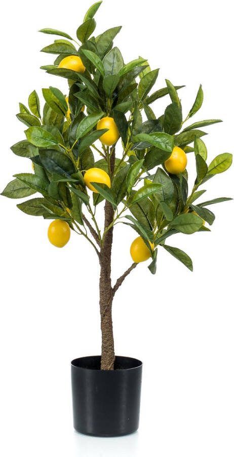 MaatShopXL Kunstplant Citrus Limonia Citroenboom 75 Cm