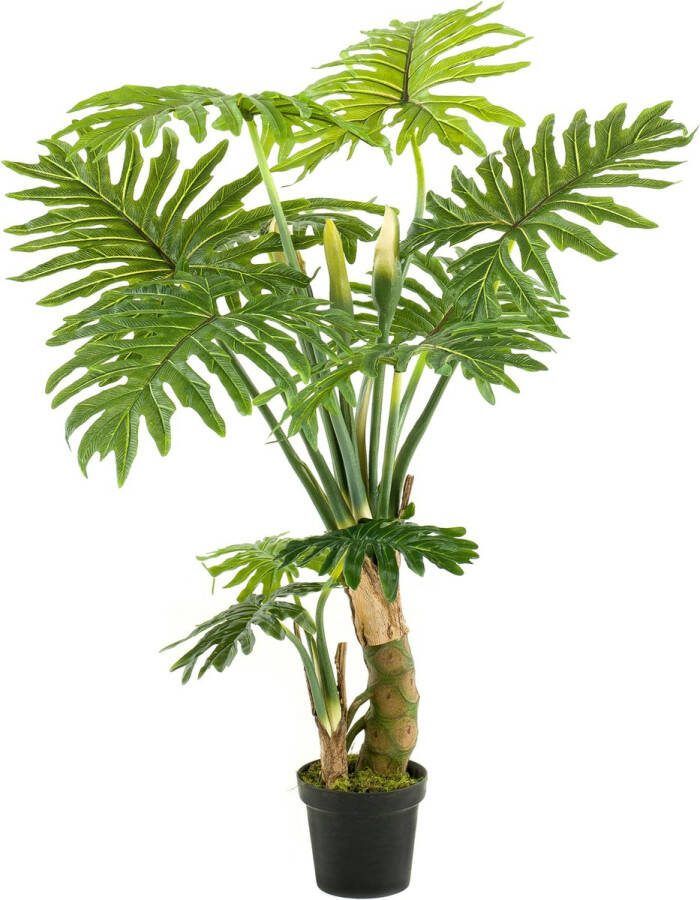 MaatShopXL Kunstplant Philodendron
