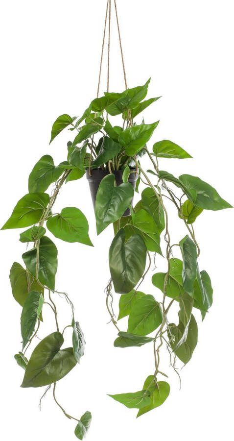 MaatShopXL Kunstplant Philodendron Scandens Klimmende Boomliefhebber 80 Cm