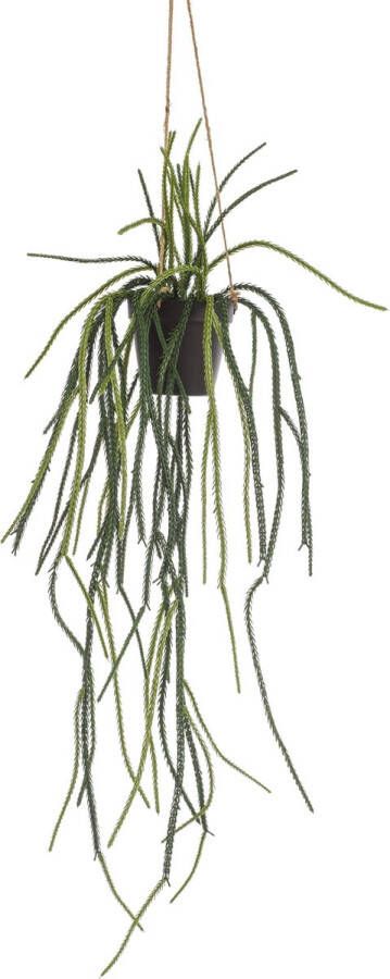 MaatShopXL Kunstplant Rhypsalis Koraalcactus 85 Cm