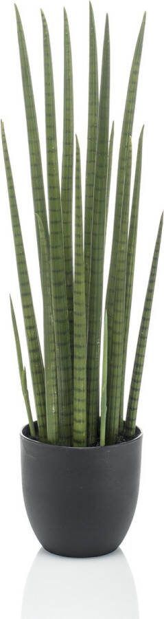 MaatShopXL Kunstplant Sanseveria Cylindrica Vrouwentong 70 Cm