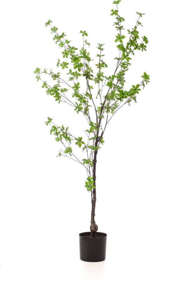 MaatShopXL Kunstplant Tropaeolum Speciosum Oost Indische Kers