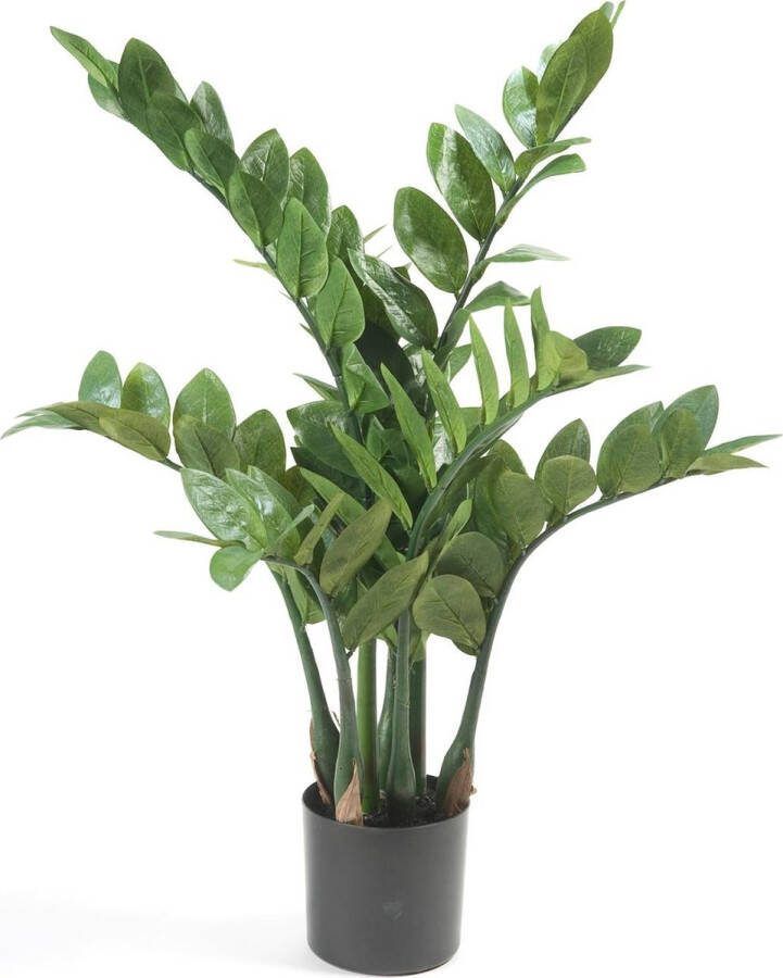 MaatShopXL Kunstplant Zamioculcas Kamerpalm