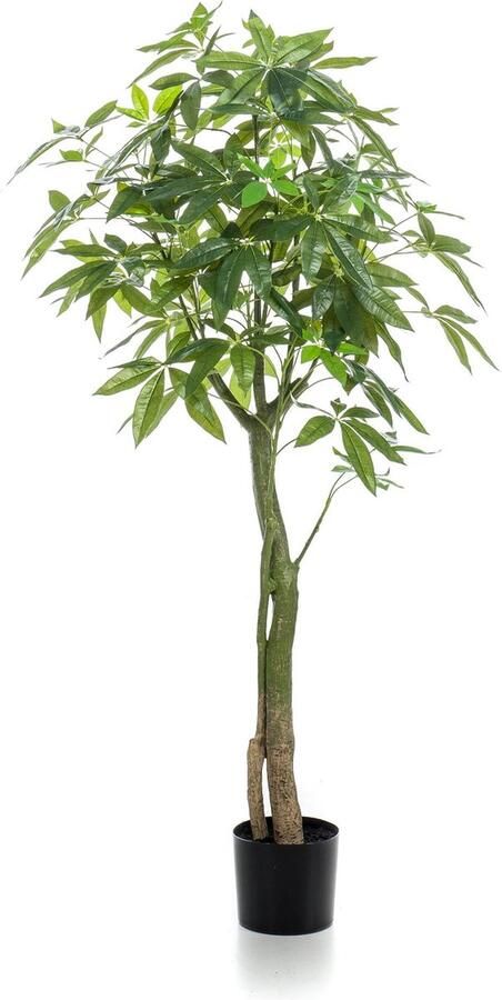 MaatShopXL Kunstplant Pachira Aquatica Geldboom