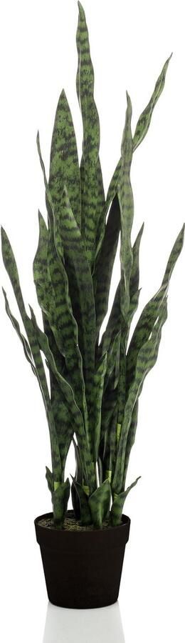 MaatShopXL Kunstplant Sanseveria Black Coral Vrouwentong 97 Cm