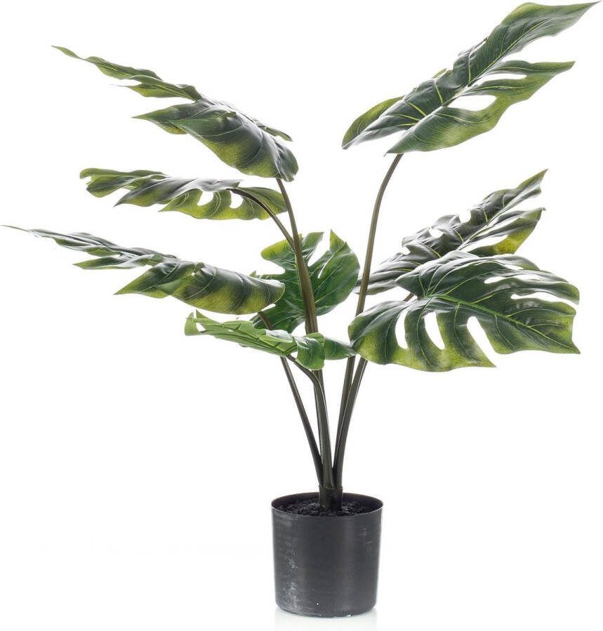 MaatShopXL Monstera Deliciosa Kunstplant