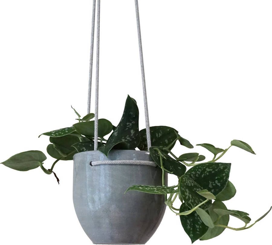 Made by Owi Hangpot voor Planten Bloempot voor Binnen Grijs Ø 16 cm Plantenhangers